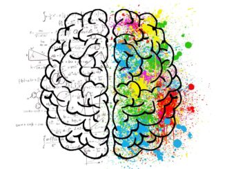 Psychologia – kierunek dla osób o otwartych umysłach